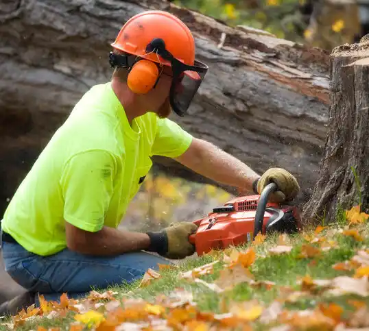 tree services Strathmore